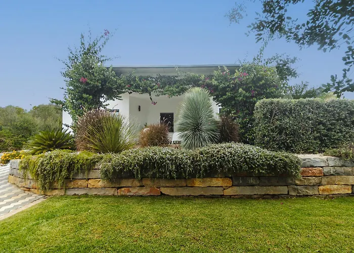 Olivia - New! Villa *