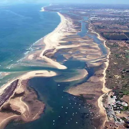 Olivia - New! * Quatrim do Norte